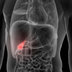 How Much Does a Gallbladder Weigh