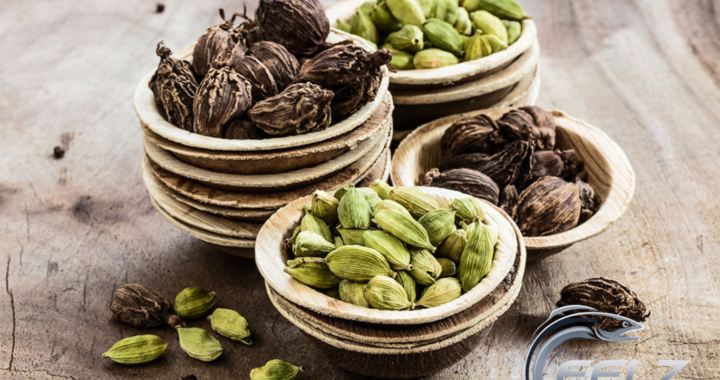 Green Cardamom