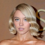 Sydney Sweeney Silver Dress