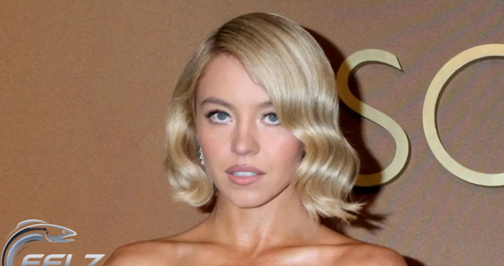 Sydney Sweeney Silver Dress