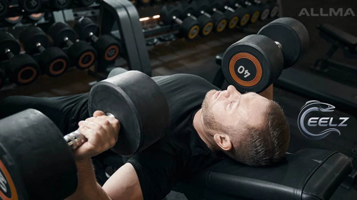 Best Upper Chest Workout