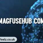 Magfusehub Com